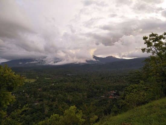 savana tianyar bali