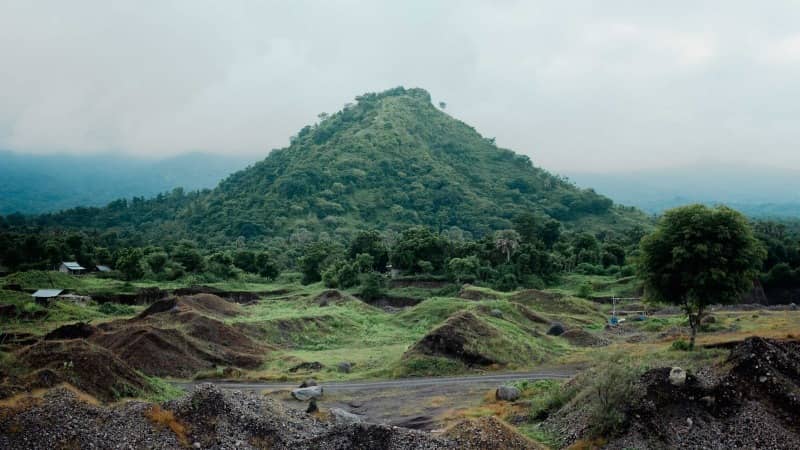 savana tianyar bali