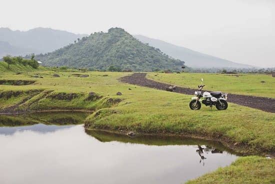 savana tianyar bali