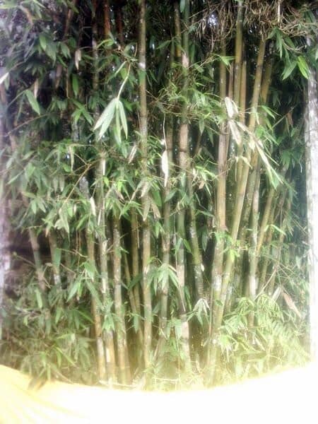 Pura Luhur Lempuyang