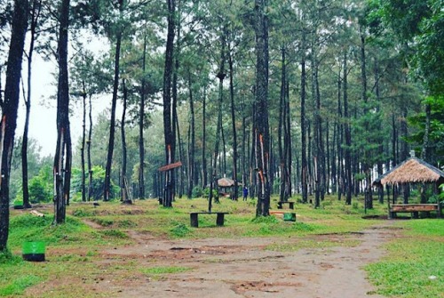 wisata sikembang park