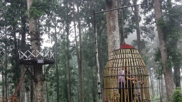 wisata sikembang park