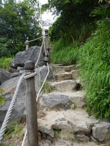 tour di halong bay cruises