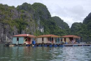 halong bay cruises