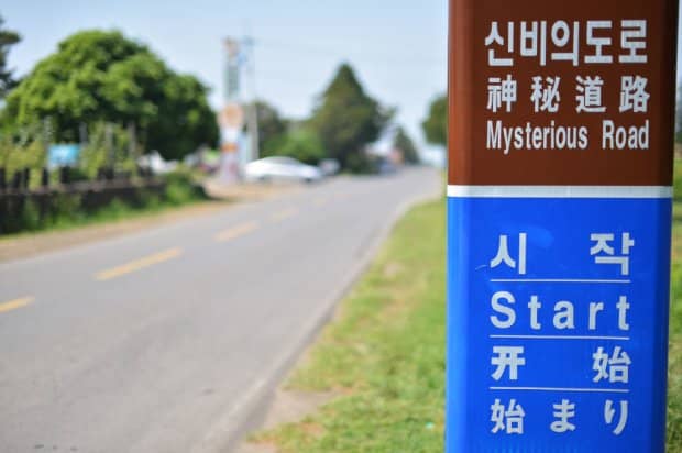 mysterious road in jeju island