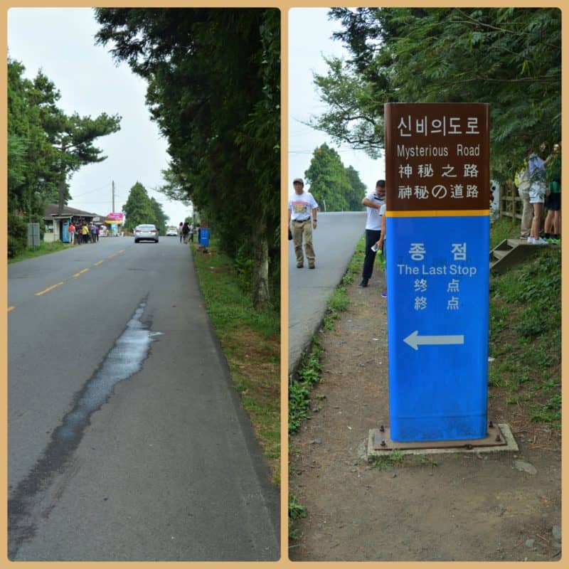 mysterious road in jeju island
